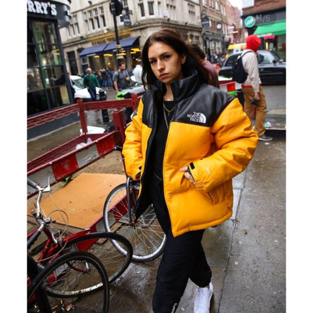 Supreme(シュプリーム)のSサイズ supreme 新品 tnf leather nuptse メンズのジャケット/アウター(ダウンジャケット)の商品写真