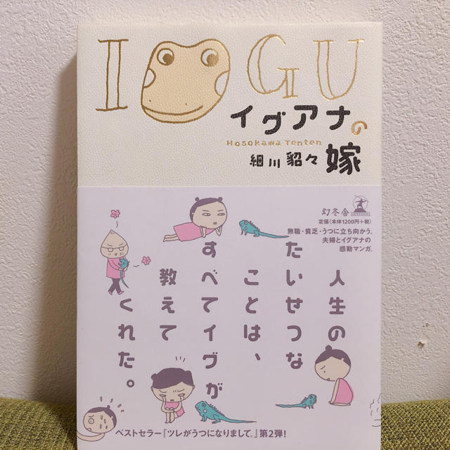 幻冬舎(ゲントウシャ)の美品❤︎ イグアナの嫁 細川貂々 エンタメ/ホビーの漫画(その他)の商品写真