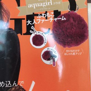 エテ(ete)のジンジャー1月号  ふわもこファーチャーム(ファッション)