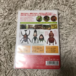 こびと観察入門 カブト タケノ ノミビョウタン編 [DVD] i8my1cf