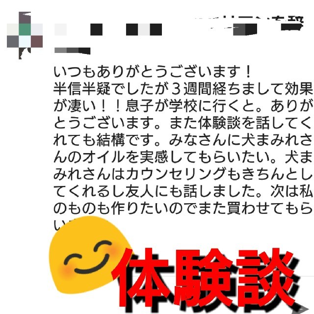 30mlタイガーアイ入り【億万長者】金運上昇願いが叶うメモリーオイル 開運