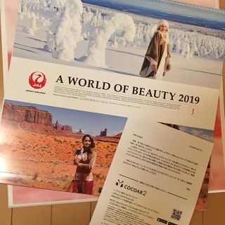 ジャル(ニホンコウクウ)(JAL(日本航空))のJAL 2019 カレンダー World of beauty(カレンダー/スケジュール)