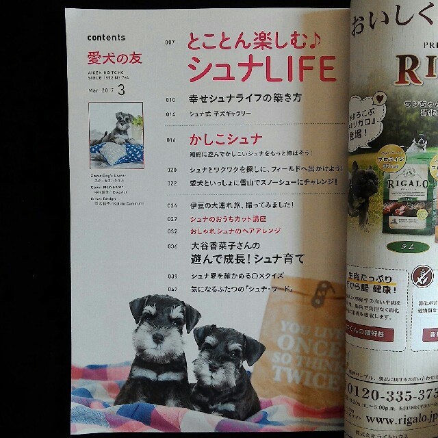 愛犬の友　シュナウザー　特集　2017年3月号 エンタメ/ホビーの雑誌(その他)の商品写真