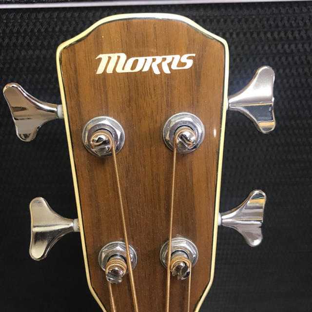 MORRIS アコースティックベース 楽器のベース(アコースティックベース)の商品写真