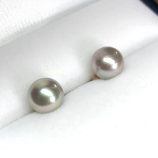 【K14GF】グレー系 パール ピアス（8mm・アコヤ本真珠）(ピアス)