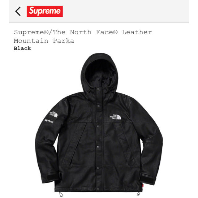 Supreme(シュプリーム)の定価 the north face leather mountain parka メンズのジャケット/アウター(マウンテンパーカー)の商品写真