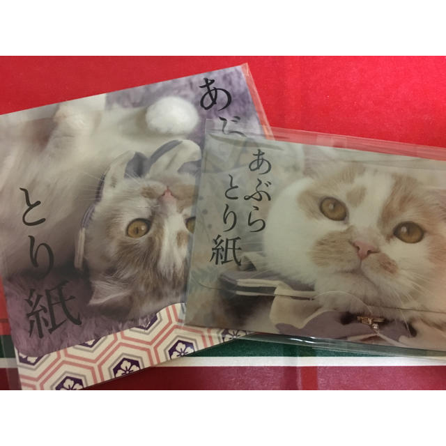 ねこ休み展 ホイちゃん あぶらとり紙 その他のその他(その他)の商品写真