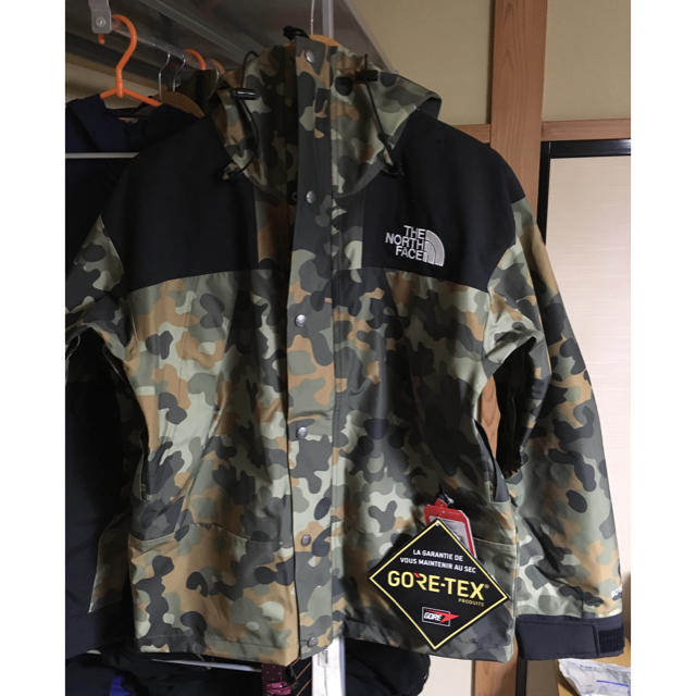 THE NORTH FACE(ザノースフェイス)の日本未発売 ザノースフェイス  MOUNTAIN GTX JACKET メンズのジャケット/アウター(マウンテンパーカー)の商品写真