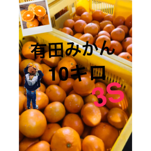 和歌山 有田みかん早生 3S10キロ 只今完熟！ 食品/飲料/酒の食品(フルーツ)の商品写真