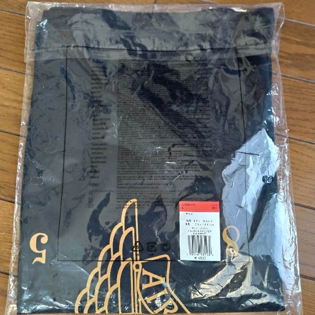 NIKE(ナイキ)の新品 ジョーダン ロッキーTシャツ Lサイズ メンズのトップス(Tシャツ/カットソー(半袖/袖なし))の商品写真