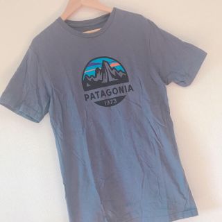 パタゴニア tシャツ(Tシャツ(半袖/袖なし))