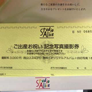 スタジオアリス記念写真撮影券(その他)