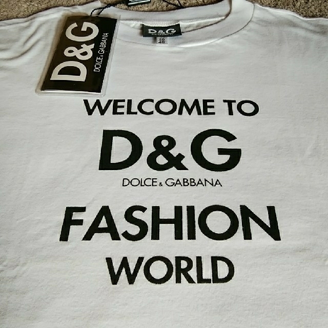 DOLCE&GABBANA(ドルチェアンドガッバーナ)のDOLCE&GABBANA　Tシャツ レディースのトップス(Tシャツ(半袖/袖なし))の商品写真