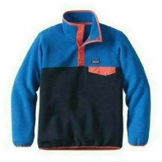 パタゴニア(patagonia)のLightweight Synchilla Snap T Pullover (パーカー)