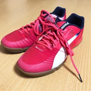 プーマ(PUMA)のプーマ PUMA 26cm フットサル エヴォスピード サラ ピンク×ホワイト(シューズ)