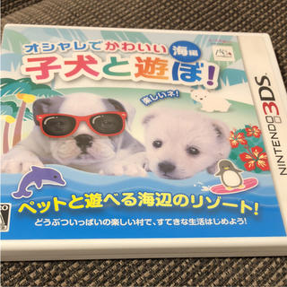 ニンテンドー3DS(ニンテンドー3DS)の3DS  オシャレでかわいい 子犬と遊ぼ! -海編-(携帯用ゲームソフト)
