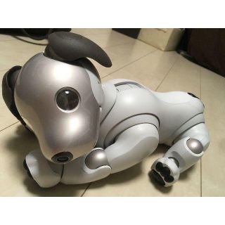 ソニー(SONY)のSONY aibo アイボ ERS-1000 + アイボーン(その他)