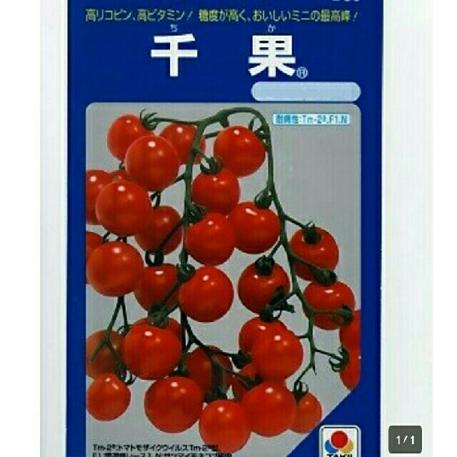 屋風様ご専用☆熊本県産ミニトマト３キロ(ゆうパックご希望) 食品/飲料/酒の食品(野菜)の商品写真