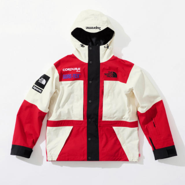 supreme the north face