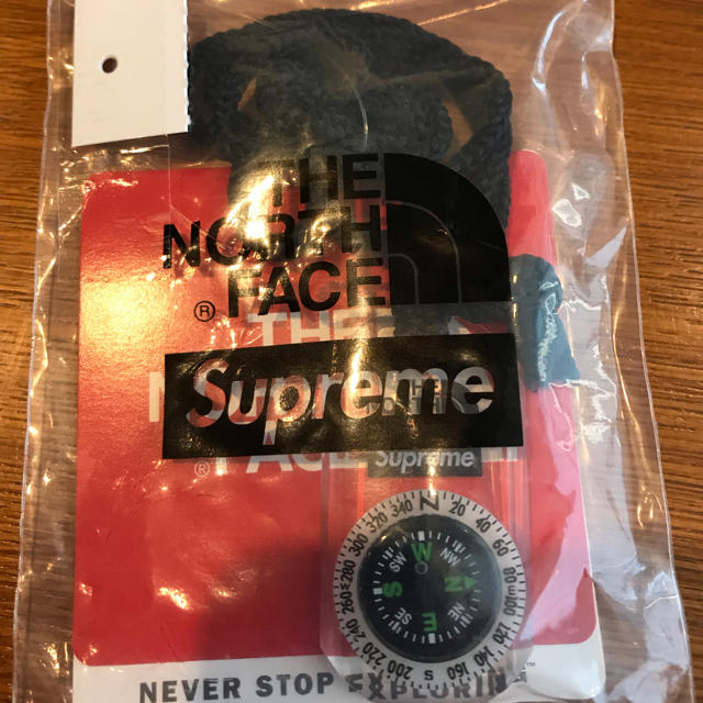 Supreme/The North Face Compass Necklace