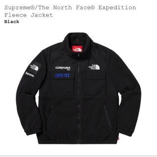 シュプリーム(Supreme)のSupreme north face (マウンテンパーカー)