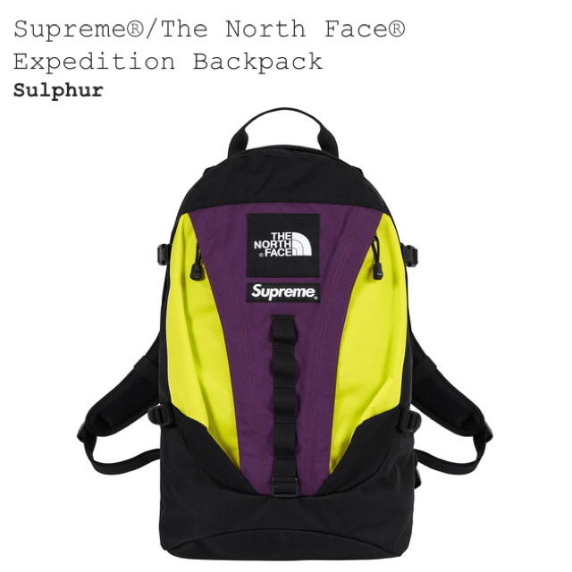 Supreme x the northface