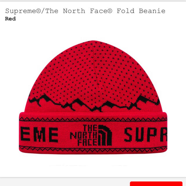 ニット帽/ビーニーSupreme The North Face Fold Beanie