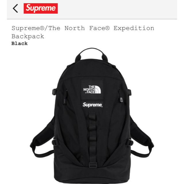 Supreme The North Face back pack