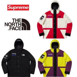 シュプリーム(Supreme)のSupreme the north face Expedition (マウンテンパーカー)