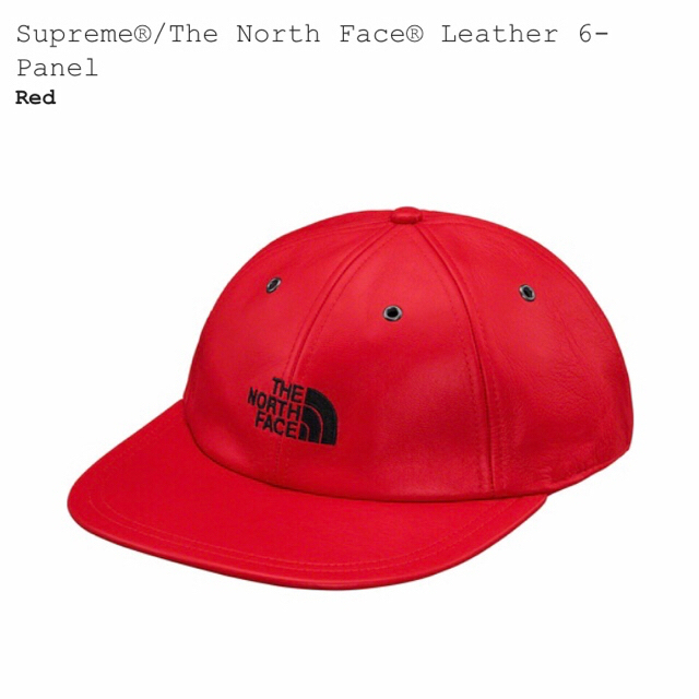 Supreme®The North Face® Leather 6-Panel