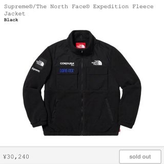 シュプリーム(Supreme)のSupreme The North Face Fleece(その他)