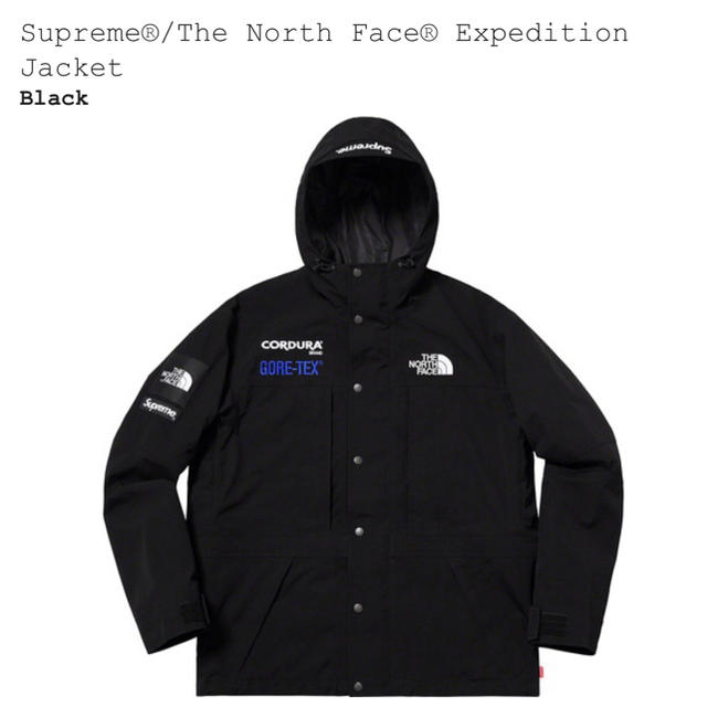 Supreme x the north face jacket