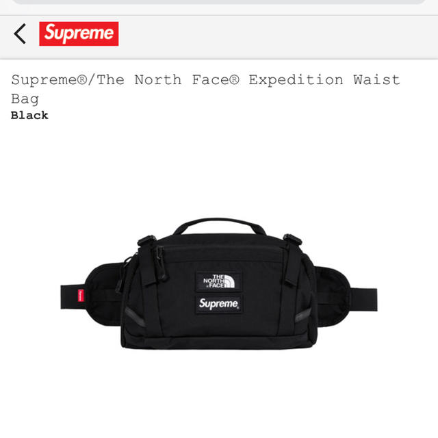 supreme  the north face waist bag