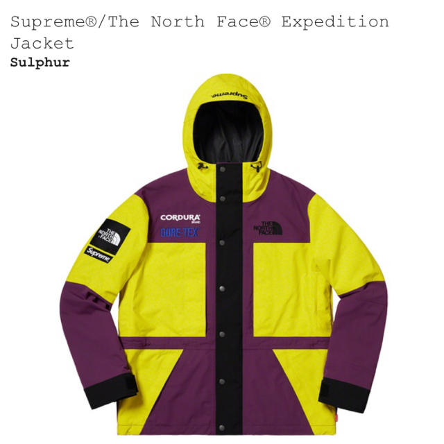 supreme the north face gore tex jacket S