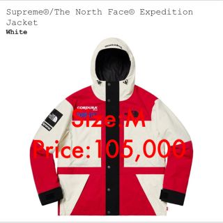 シュプリーム(Supreme)のSupreme the north face M (マウンテンパーカー)