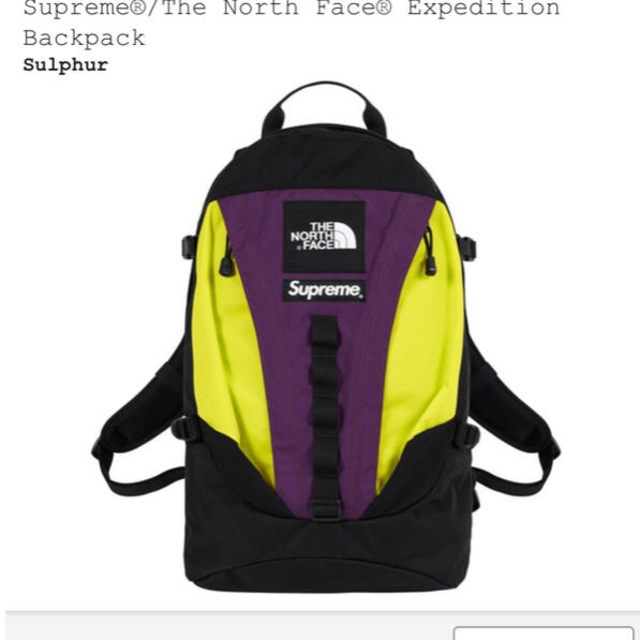 supreme the north face backpackメンズ