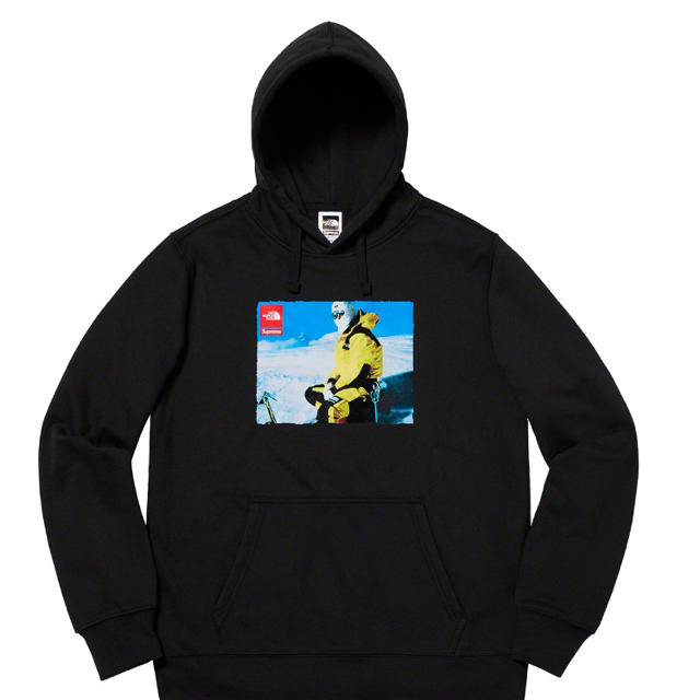 Supreme the North Face