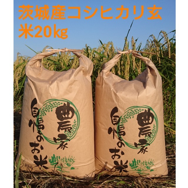 エフ子様専用商品です。令和6年度 千葉県産コシヒカリ玄米20キロ③。 新米 無洗米コシヒカリ30kg(目減り有り エフ子様専用商品です。秋田由利本荘産一等米あきたこまち(玄米10キロ)。 新米 無洗米コシヒカリ30kg(目減り有り