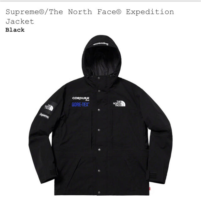 supreme the north face