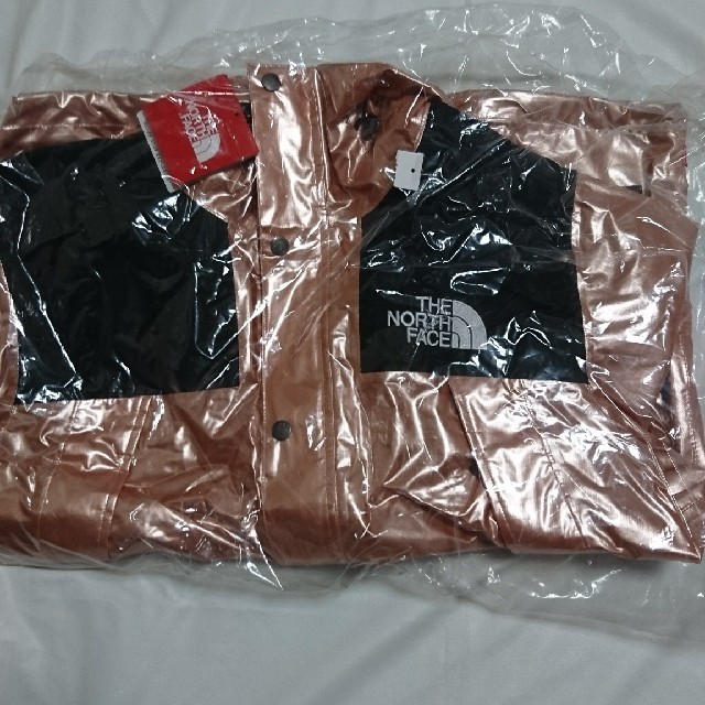 Supreme North Face MetallicMountainParka