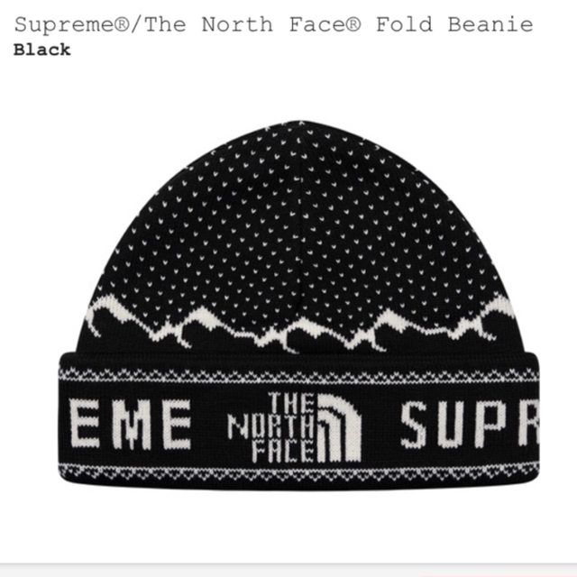 supreme the north face beanie ビーニー