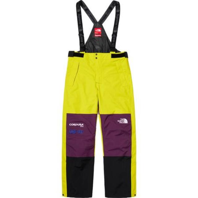 supreme the north face expedetion pants