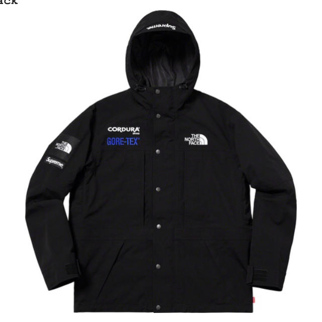 【黒M】supreme TNF Expedition jacket