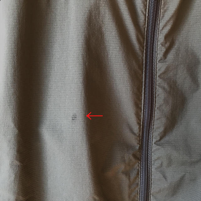 THE NORTH FACE Swallowtail Hoodie