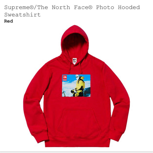 Supreme north face photo hoodie