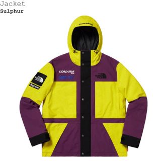 シュプリーム(Supreme)のthe north face expedition jacket Lサイズ(マウンテンパーカー)