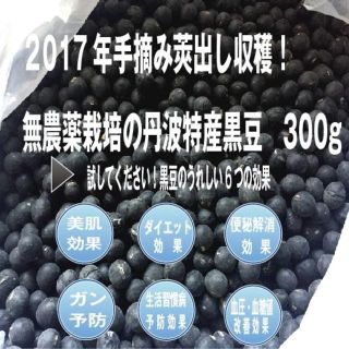 ■新着！2017年手摘み莢出し収穫・無農薬栽培の丹波特産黒豆　300g(野菜)