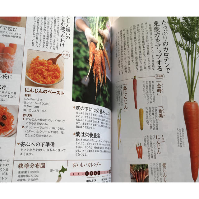 野菜の便利帳 料理本 エンタメ/ホビーの本(住まい/暮らし/子育て)の商品写真