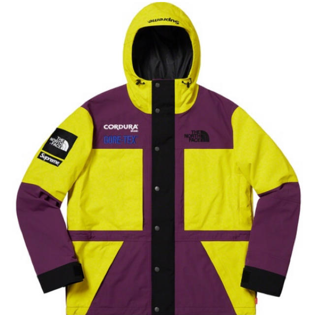 L supreme the north face expedition