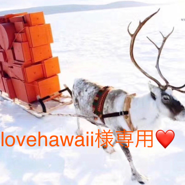 Hermes(エルメス)のlovehawaii様専用 レディースのバッグ(ハンドバッグ)の商品写真